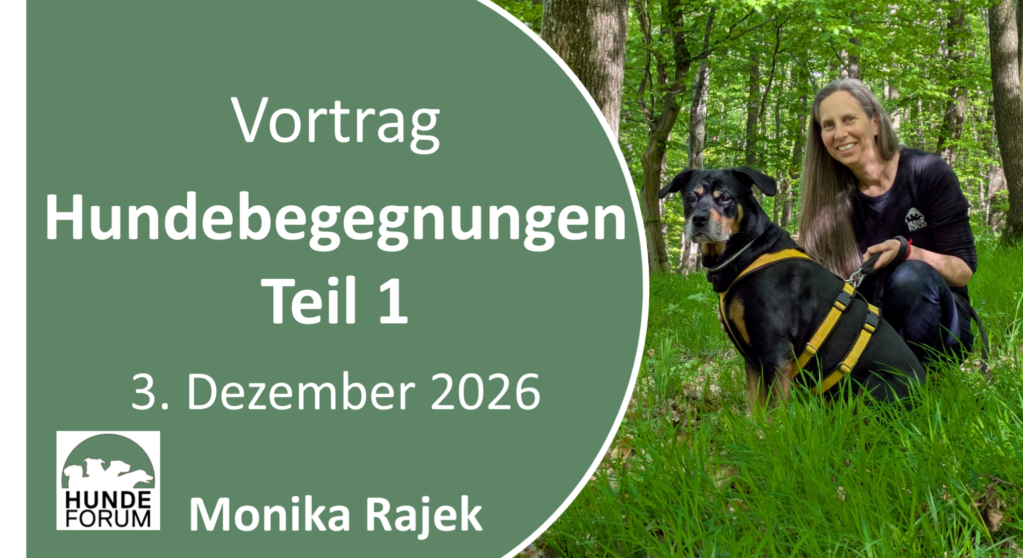 Hundebegegnungen1_Dez26