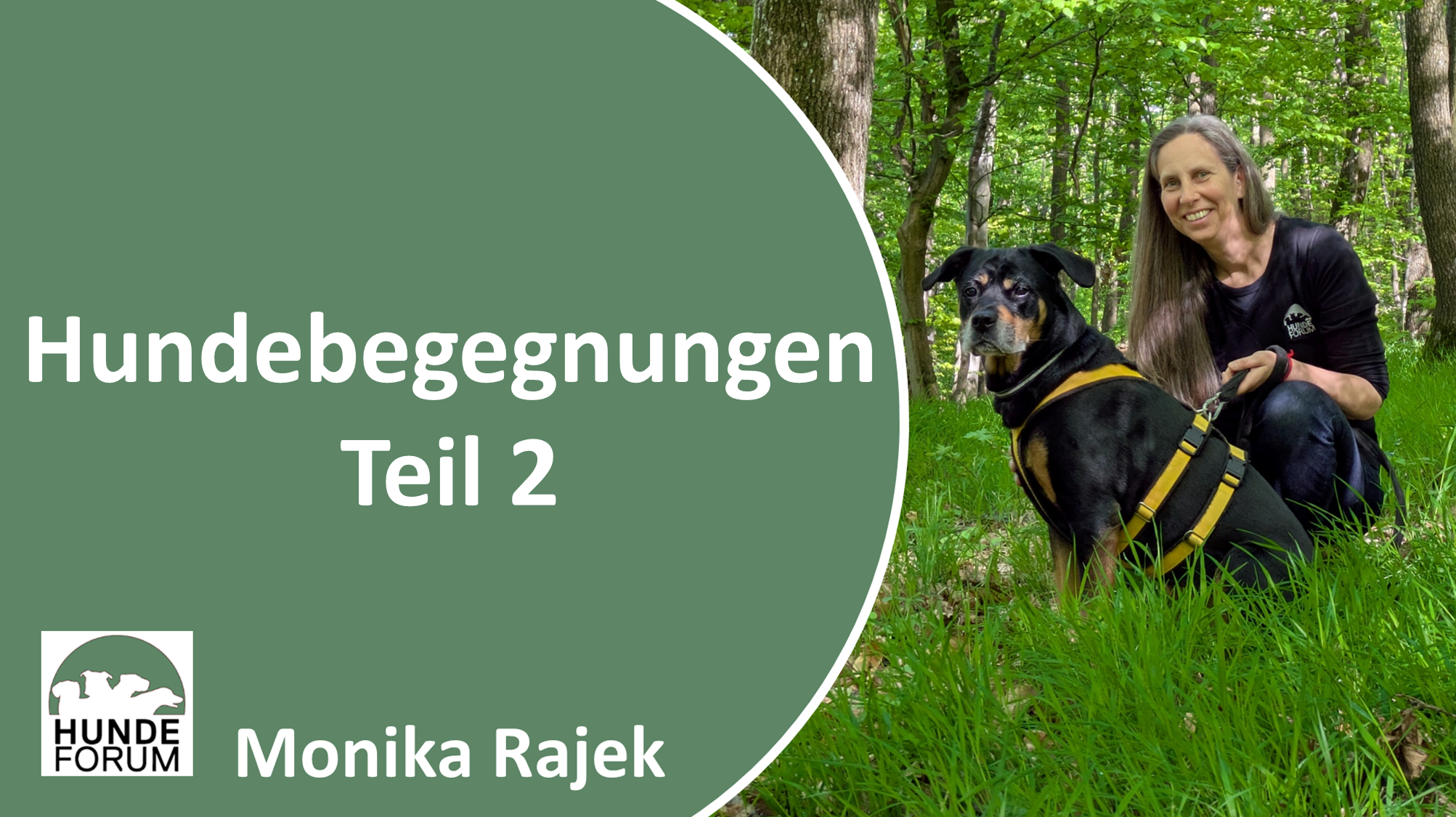 Hundebegegnungen_Teil2
