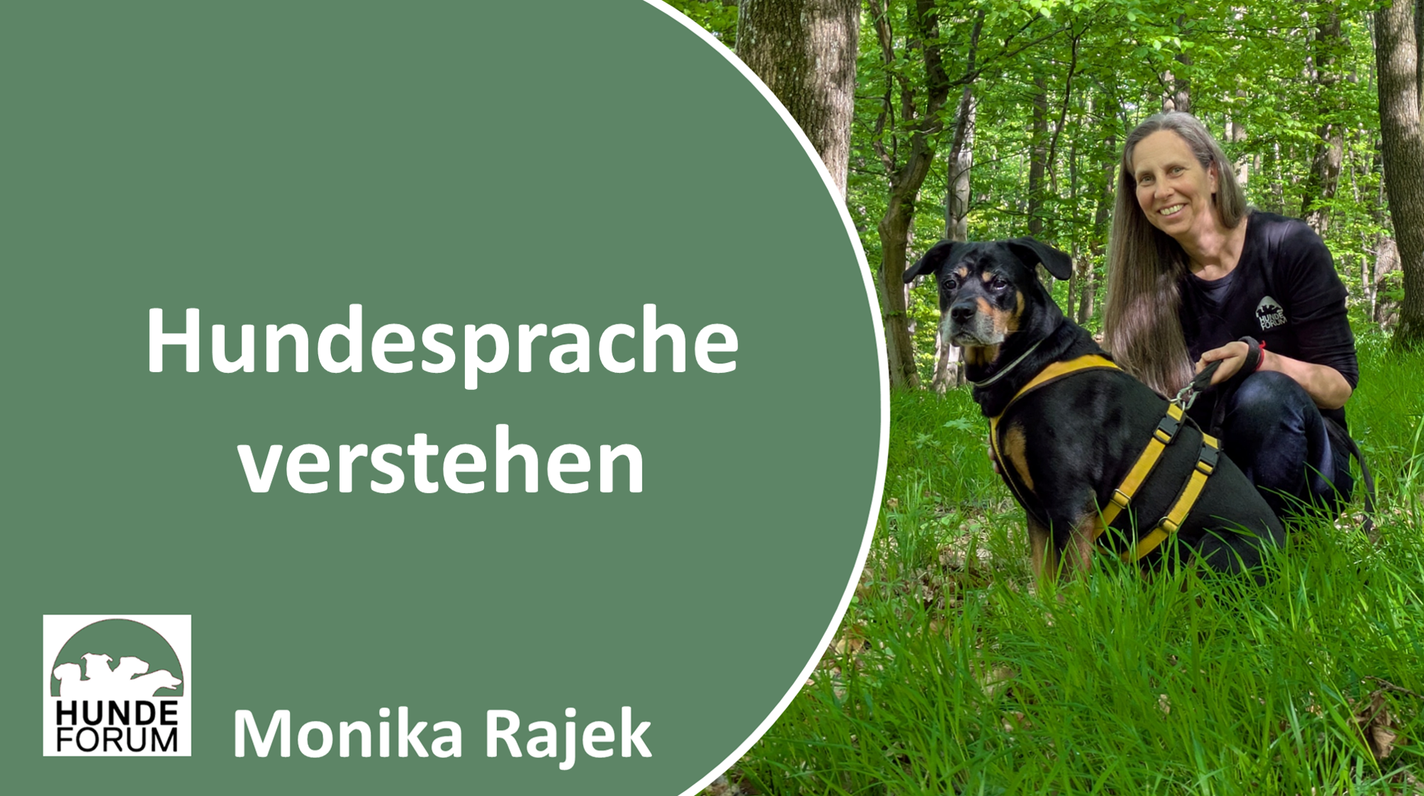 Hundesprache_verstehen